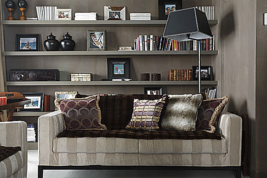 垫子,软垫,沙发,正面,架子,现代,起居室