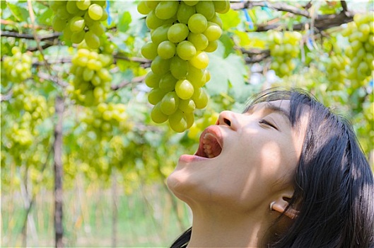 加密软件