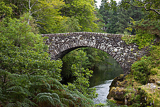 石桥,穿过,河,苏格兰