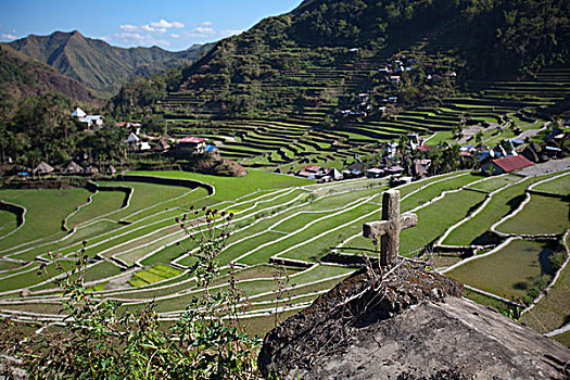 十字架,坐,石台,俯视,伊富高省,稻米梯田,围绕,北方,吕宋岛,菲律宾