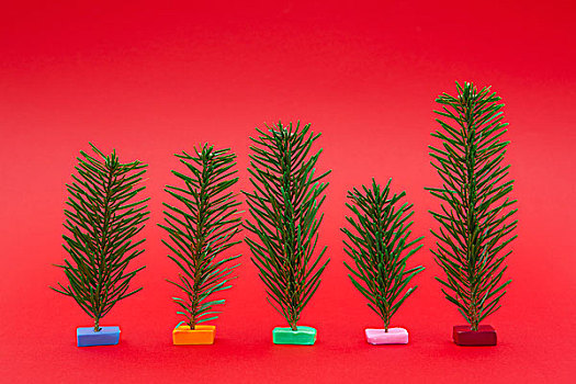 品种,小,圣诞树,红色背景