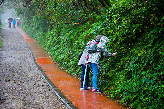 台北近郊阳明山是人们健行郊游的好去处