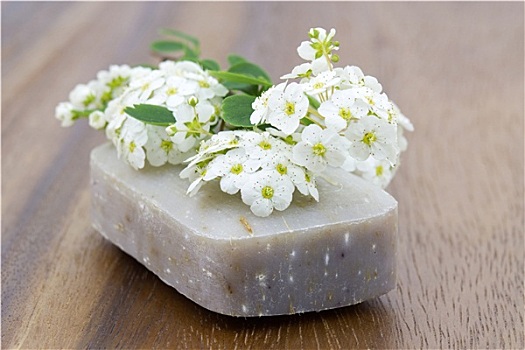 自然,肥皂,白花