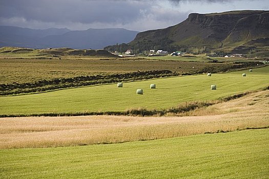 农田,冰岛