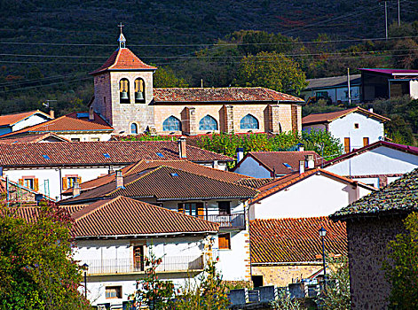 乡村,纳瓦拉,比利牛斯山脉,西班牙