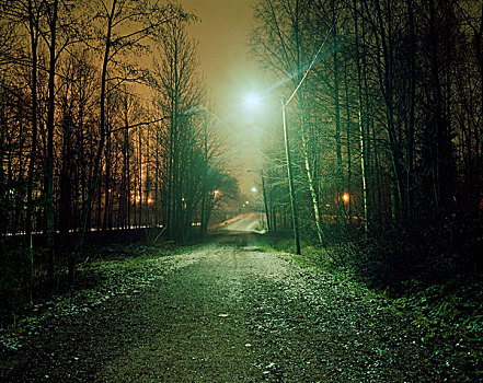 小路,夜晚,街道,灯,树林,遮盖,雪
