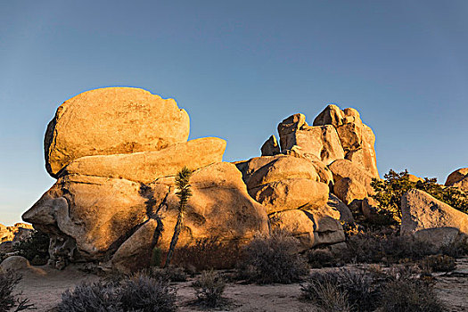 岩石构造,日落,约书亚树国家公园,黄昏,加利福尼亚,美国