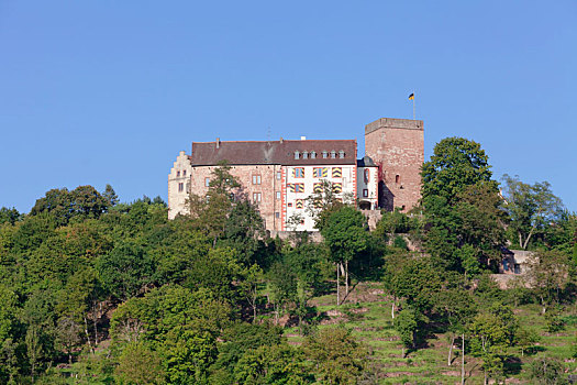 城堡,地区,巴登符腾堡,德国