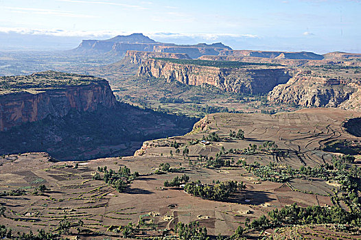埃塞俄比亚,区域,壮观,风景,干燥,山,种植,高原