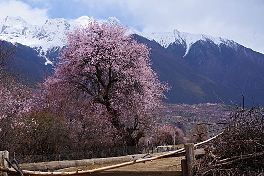 喜马拉雅山南麓