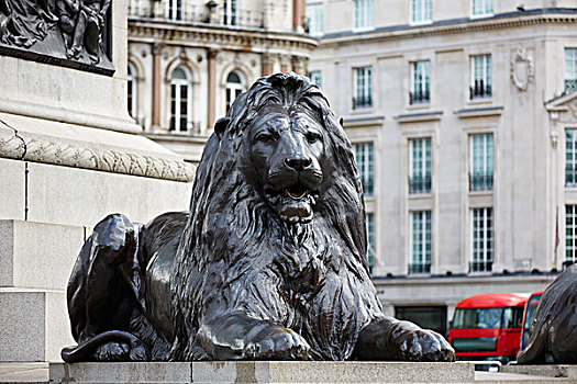 伦敦,特拉法尔加广场,狮子,英国,英格兰