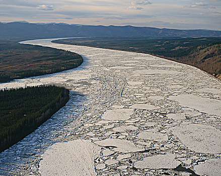 浮冰,育空河,阿拉斯加