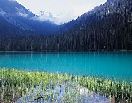 湖,省立公园,彩色,结冰,泥沙,大幅,尺寸