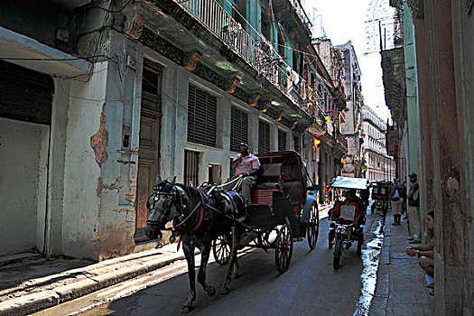 加勒比,古巴,哈瓦那,哈瓦那旧城,马车,出租车