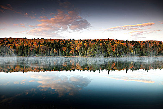 黄色,橙色,红色,秋叶,薄雾,反射,湖,阿尔冈金省立公园,安大略省,加拿大