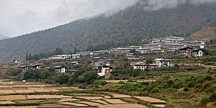 农业,地点,城镇,背景,不丹,地区