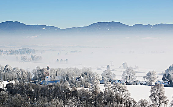 晨雾,冬天,俯视,乡村,靠近,上巴伐利亚,巴伐利亚,德国,欧洲