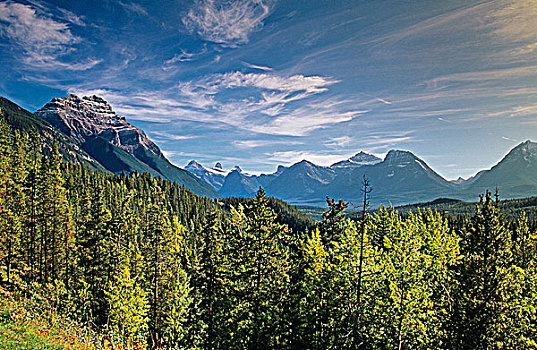 阿萨巴斯卡,视点,攀升,碧玉国家公园,艾伯塔省,加拿大