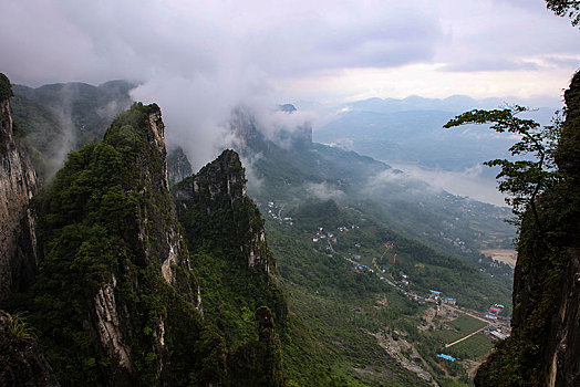 恩施,黄鹤峰,风景,景点,旅游,高山,山区,神秘,树木,植被,石头,鄂西,奇石,峡谷,壮观,云海,仙境