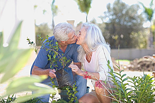老年,夫妻,吻,花园