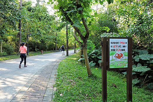 阳江植物公园