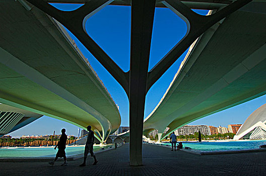 桥,艺术和科学之城,瓦伦西亚,西班牙,欧洲