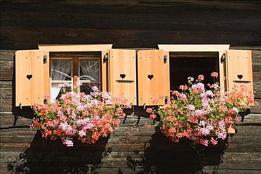 花,户外,瑞士,房子