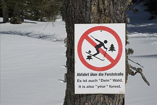 标识,使用,树林,道路,边远地区,滑雪,国家公园,施蒂里亚,上奥地利州,欧洲