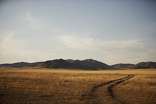 轮胎印,山峦,国家公园,蒙古