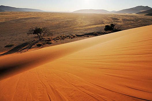 早晨,风景,沙丘,上方,山谷,索苏维来地区,纳米布沙漠,纳米比沙漠,公园,纳米比亚,非洲