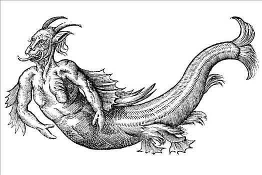 木刻,海洋,怪兽,形状,魔鬼,1642年,文艺复兴