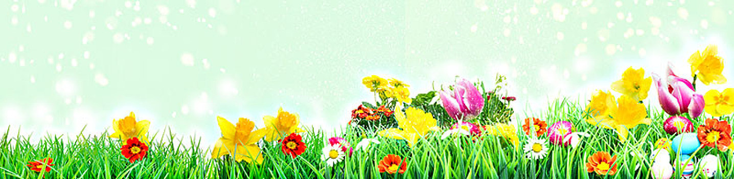 复活节,草地,花地,郁金香,水仙花,复活节彩蛋