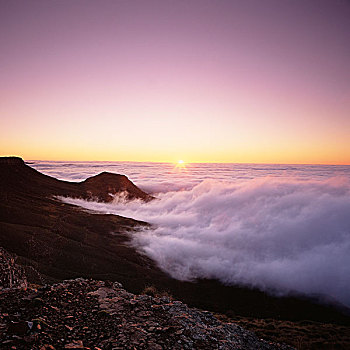 日落,国家公园,西海角,南非