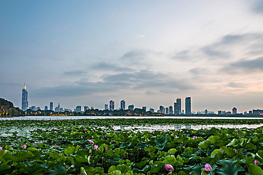 南京玄武湖夜景