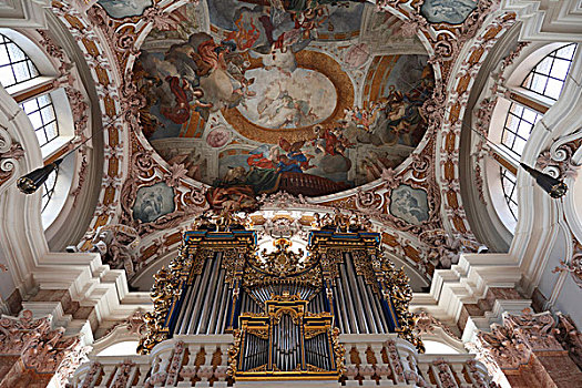 器官,天花板,壁画,大教堂,因斯布鲁克,提洛尔,奥地利,欧洲