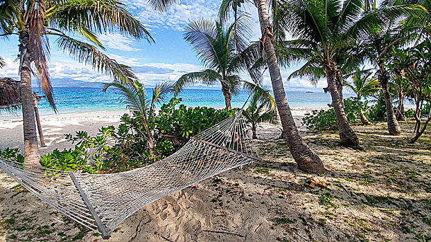 吊床,海滩,围绕,棕榈树,斐济