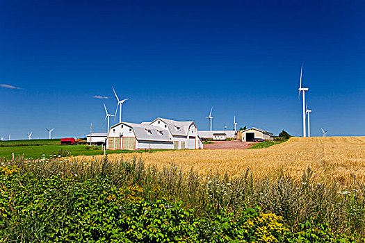 风轮机,西部,爱德华王子岛,加拿大