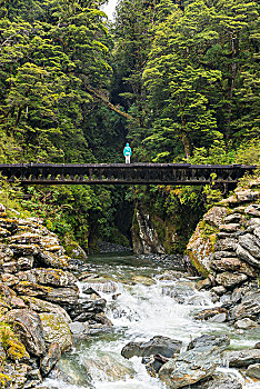 人,站立,桥,上方,溪流,靠近,艾斯派林山国家公园,西海岸,区域,南岛,新西兰