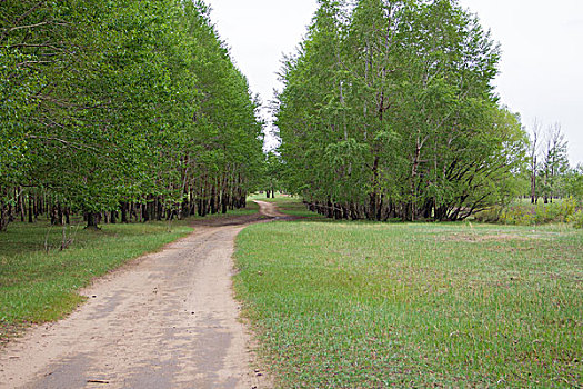 道路穿过草原和树林