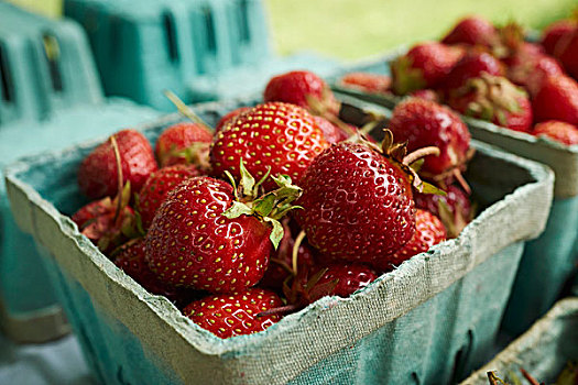 新鲜,草莓,纸板,扁篮