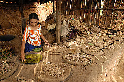 大,泥,烤炉,木头,26岁,女人,叶子,制作,特色,说话,迟,乡村,钟点,走,远景,卡劳,南方,掸邦,缅甸