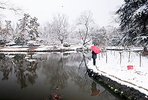 合肥逍遥津公园雪景