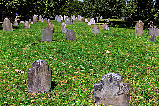 波士顿公园,中心,埋葬,地面,马萨诸塞,美国