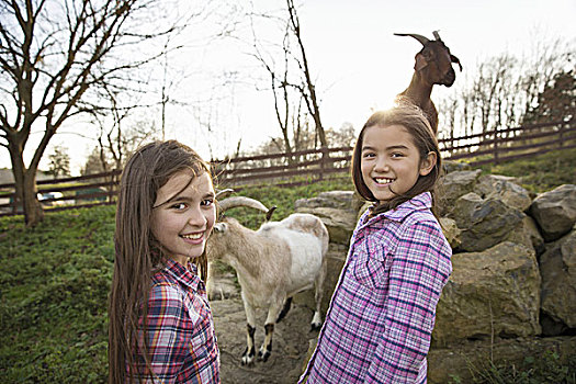 两个孩子,女孩,山羊,围挡,动物