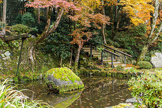 日本,公园,秋天