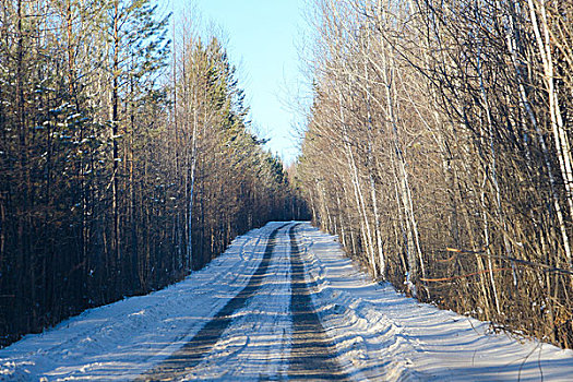 雪公路漠河北国风光