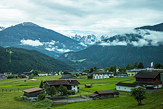 阿尔卑斯山下草场