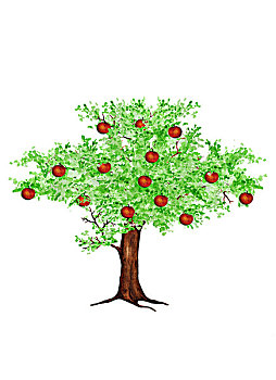 苹果树,抠像,插画