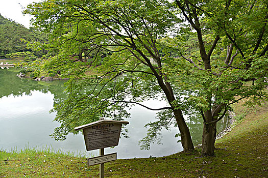 斑点,公园,日本