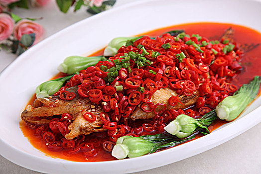 红袍桂鱼